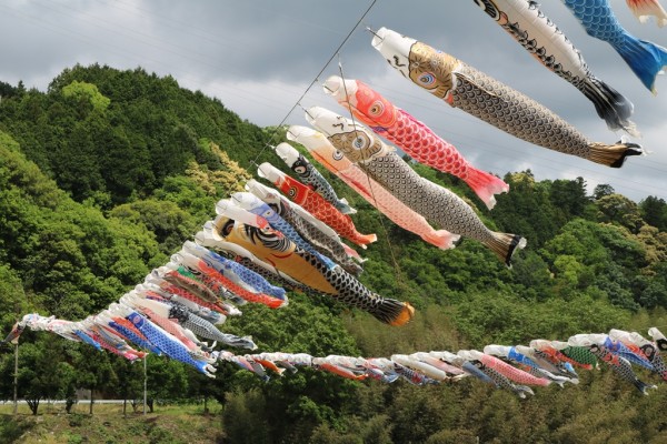 大川鯉のぼり祭 大川鯉のぼり祭