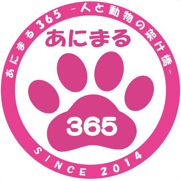わんにゃん譲渡会 わんにゃん譲渡会