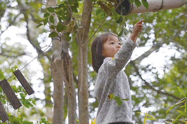 「森のようちえん」で園児募集中! 「森のようちえん」で園児募集中!