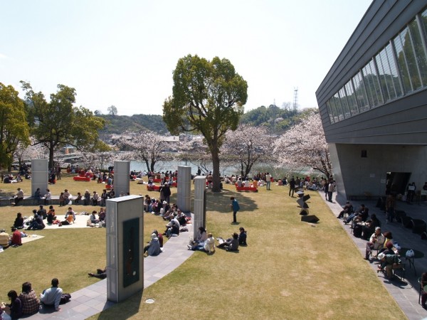 お花見会 お花見会