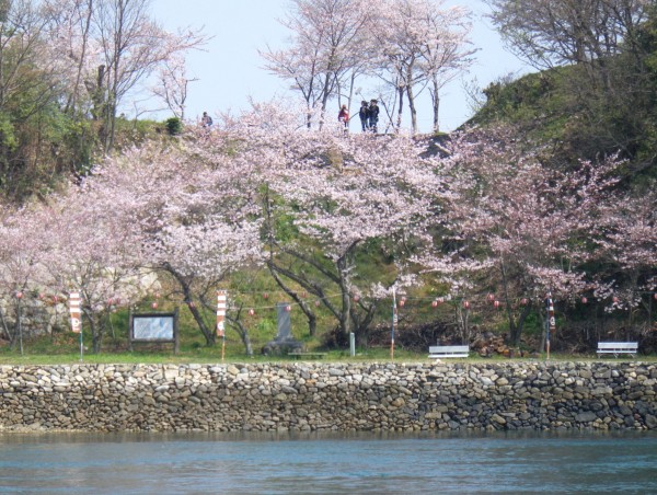 能島の花見 能島の花見
