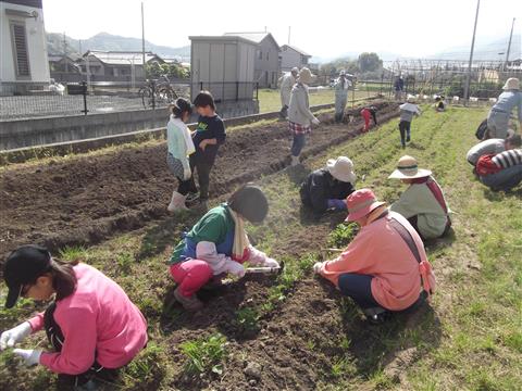 朝倉げんき農園 朝倉げんき農園