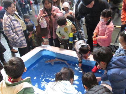 第20回 三津の朝市「旬・鮮・味まつり」 第20回 三津の朝市「旬・鮮・味まつり」
