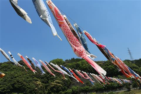 大川鯉のぼり祭 大川鯉のぼり祭
