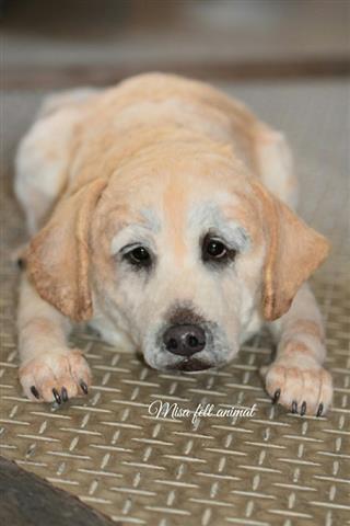 犬(ワン)だ!フル ワールド!~山崎美佐個展 羊毛フェルト~ 犬(ワン)だ!フル ワールド!~山崎美佐個展 羊毛フェルト~