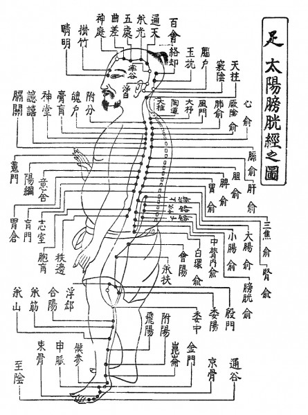 みんなで楽しく東洋医学を勉強しませんか? みんなで楽しく東洋医学を勉強しませんか?