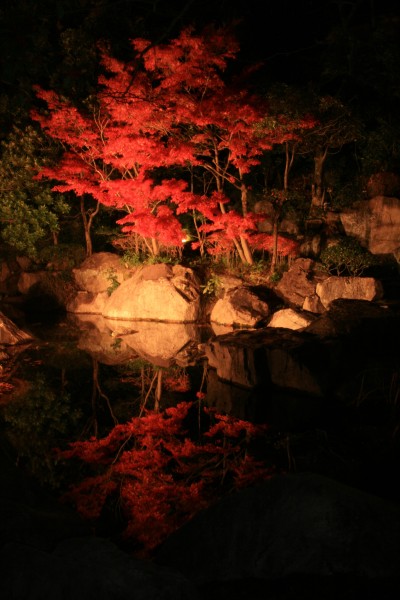 二之丸光の庭園 二之丸光の庭園