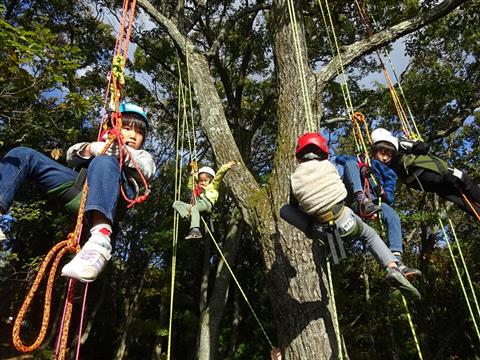 ツリークライミング「ナマケもの」講座 ツリークライミング「ナマケもの」講座