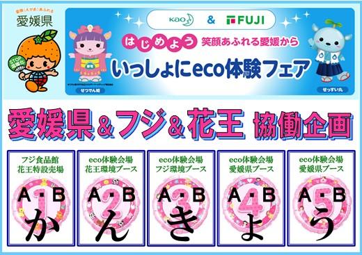 いっしょにeco体験フェア~はじめよう 笑顔あふれる 愛媛から~ いっしょにeco体験フェア~はじめよう 笑顔あふれる 愛媛から~