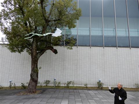 一日講座「鳥を飛ばそう!」 一日講座「鳥を飛ばそう!」