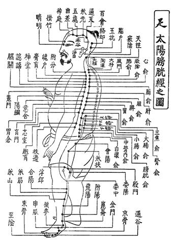 みんなで楽しく東洋医学を勉強しませんか? みんなで楽しく東洋医学を勉強しませんか?