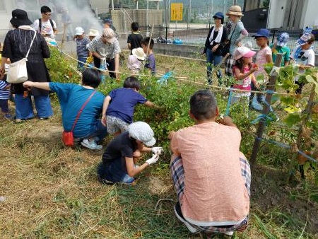 「元気農園」(今治市朝倉児童館) 「元気農園」(今治市朝倉児童館)