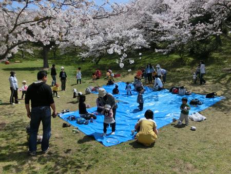 三島合同お花見交流会(今治市伯方児童館) 三島合同お花見交流会(今治市伯方児童館)