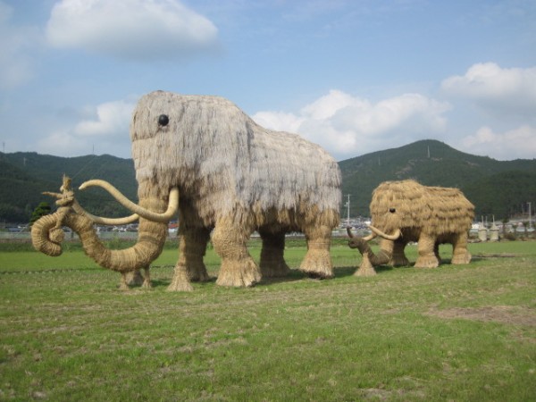 第43回 宇和れんげまつり 第43回 宇和れんげまつり