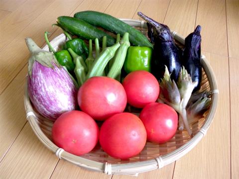 7月の料理講座 生産農家さん直伝!新鮮な夏野菜がたっぷり♪親子で楽しく七夕クッキング 7月の料理講座 生産農家さん直伝!新鮮な夏野菜がたっぷり♪親子で楽しく七夕クッキング