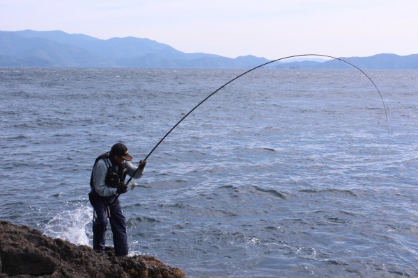 あいなん磯釣大会2019 あいなん磯釣大会2019