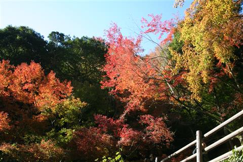 白滝滝まつり 白滝滝まつり