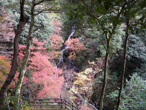 白滝るり姫まつり 白滝るり姫まつり
