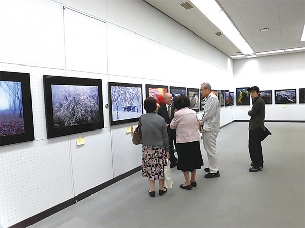 第68回 秋季県展(県民総合文化祭) 第68回 秋季県展(県民総合文化祭)