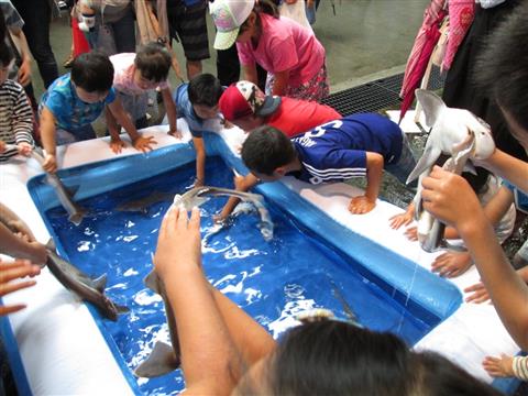 第26回 三津の朝市「旬・鮮・味まつり」 第26回 三津の朝市「旬・鮮・味まつり」