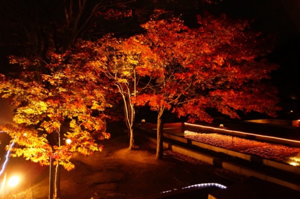 二之丸光の庭園 二之丸光の庭園