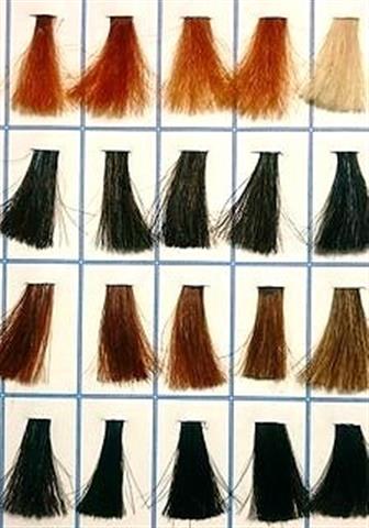 自分でできる天然ヘアカラーヘナ講座 自分でできる天然ヘアカラーヘナ講座