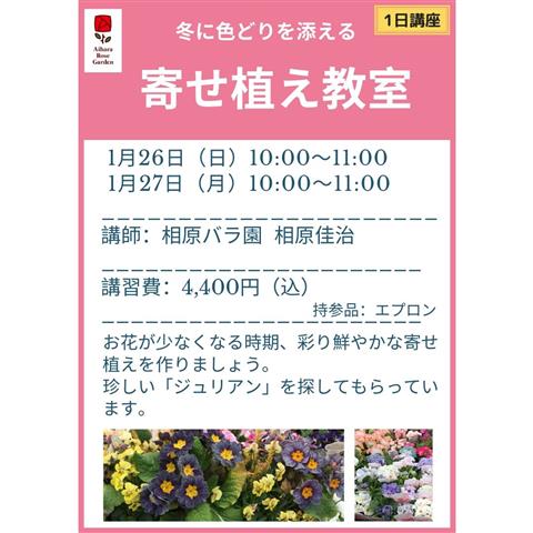 寄せ植え教室~冬に彩りを添えて~ 寄せ植え教室~冬に彩りを添えて~