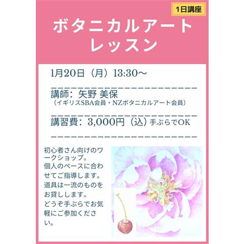 ボタニカルアートレッスン ボタニカルアートレッスン