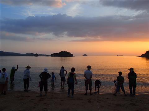 自然観察会(7)「夜の海辺の生き物ウォッチング」 自然観察会(7)「夜の海辺の生き物ウォッチング」