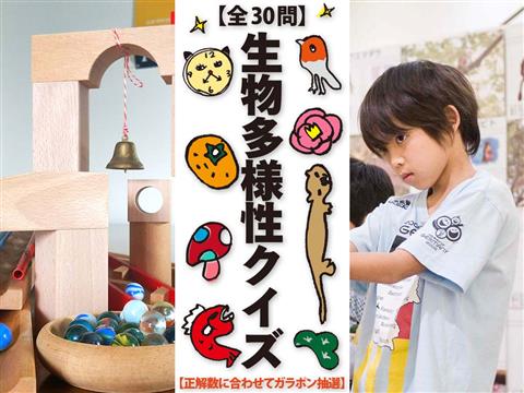 無料体験企画【ワンダフルエミフル2020】 無料体験企画【ワンダフルエミフル2020】