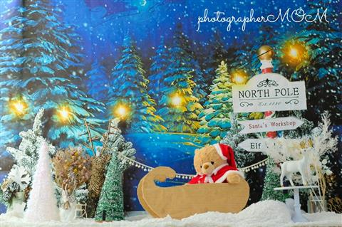クリスマスフォトブース撮影会*photographerMOM* クリスマスフォトブース撮影会*photographerMOM*