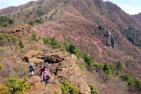 ※開催中止※地元愛媛県の人気登山ガイド智さんと行く春のハジメテトザン 西赤石山