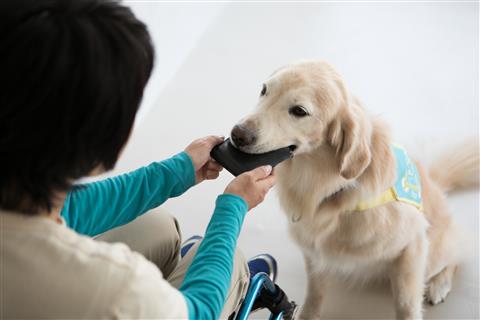 補助犬イベント「介助犬・聴導犬を知ってください」