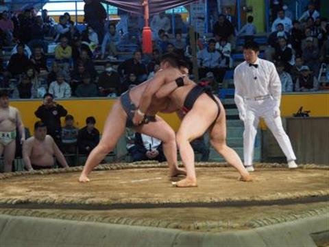 第40回 全日本大学選抜相撲宇和島大会