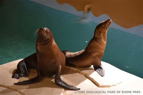 夜の動物園
