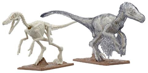 『プラノサウルス』ヴェロキラプトル組立て体験会