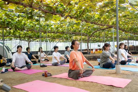 心と身体で大事を感じるヨガリトリート ～ヨガ×発酵食×ぶどう畑～