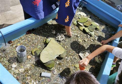 長高水族館