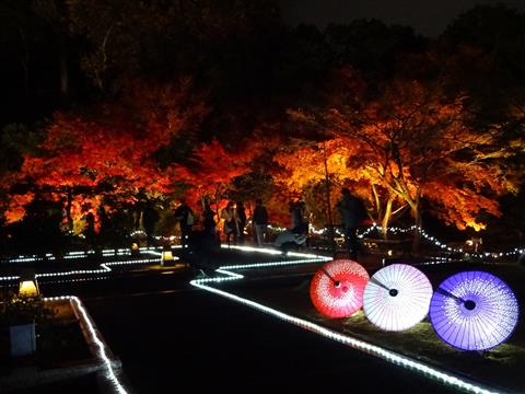 松山城二之丸史跡庭園「二之丸 光の庭園」2023