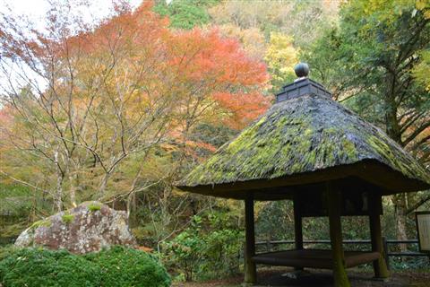 ジオライドツアー 紅葉の三滝渓谷 編