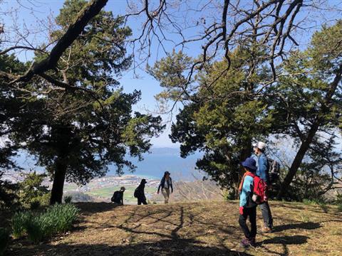 はじめての山歩き 勝岡丘陵～太山寺丘陵