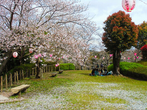 大森山桜まつり