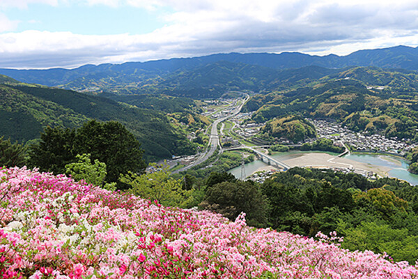 冨士山公園のつつじまつり