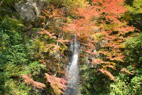 ジオライドツアー 紅葉の樽の滝と三滝渓谷編