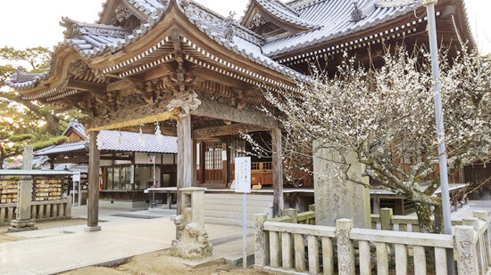 綱敷天満神社 御口開け神事（おくちあけしんじ）