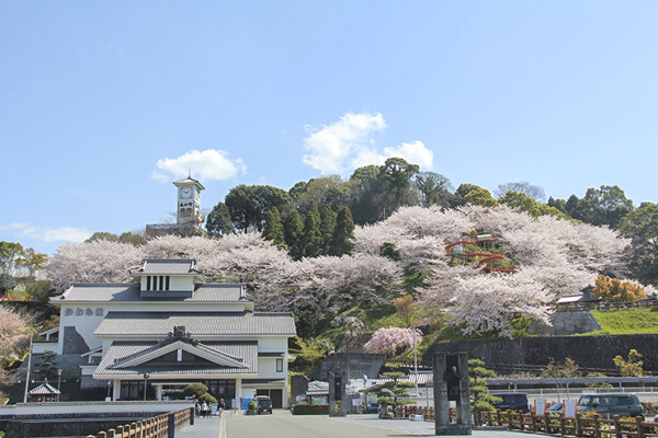 瓦のふるさと公園 お花見