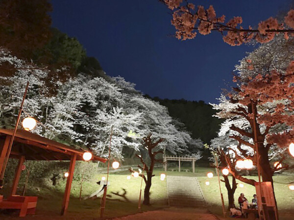 南レク城辺公園大森山桜園 桜まつり