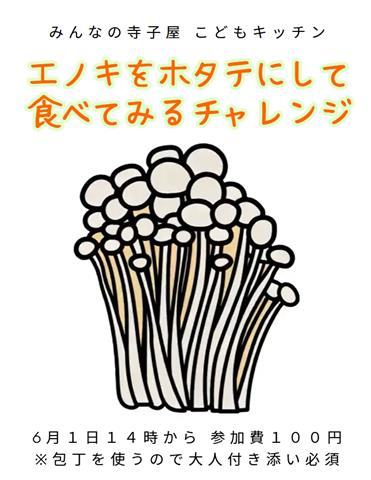 みんなの寺子屋「スパイスカレー」「こどもキッチン」等