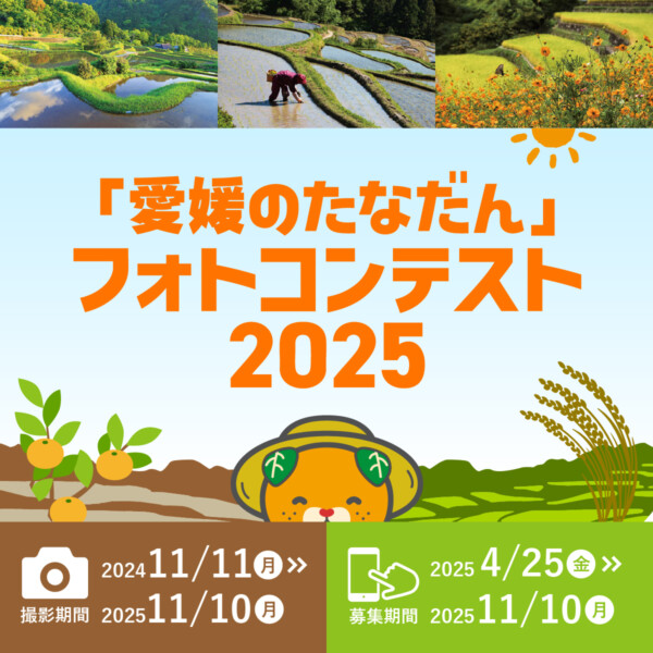 【棚田米がもらえる】愛媛たなだんフォトコンテストで映える写真を応募しよう！