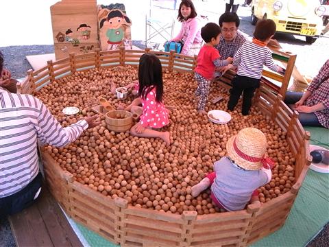 【夏の企画展】ひじかわの 木を楽しむ展